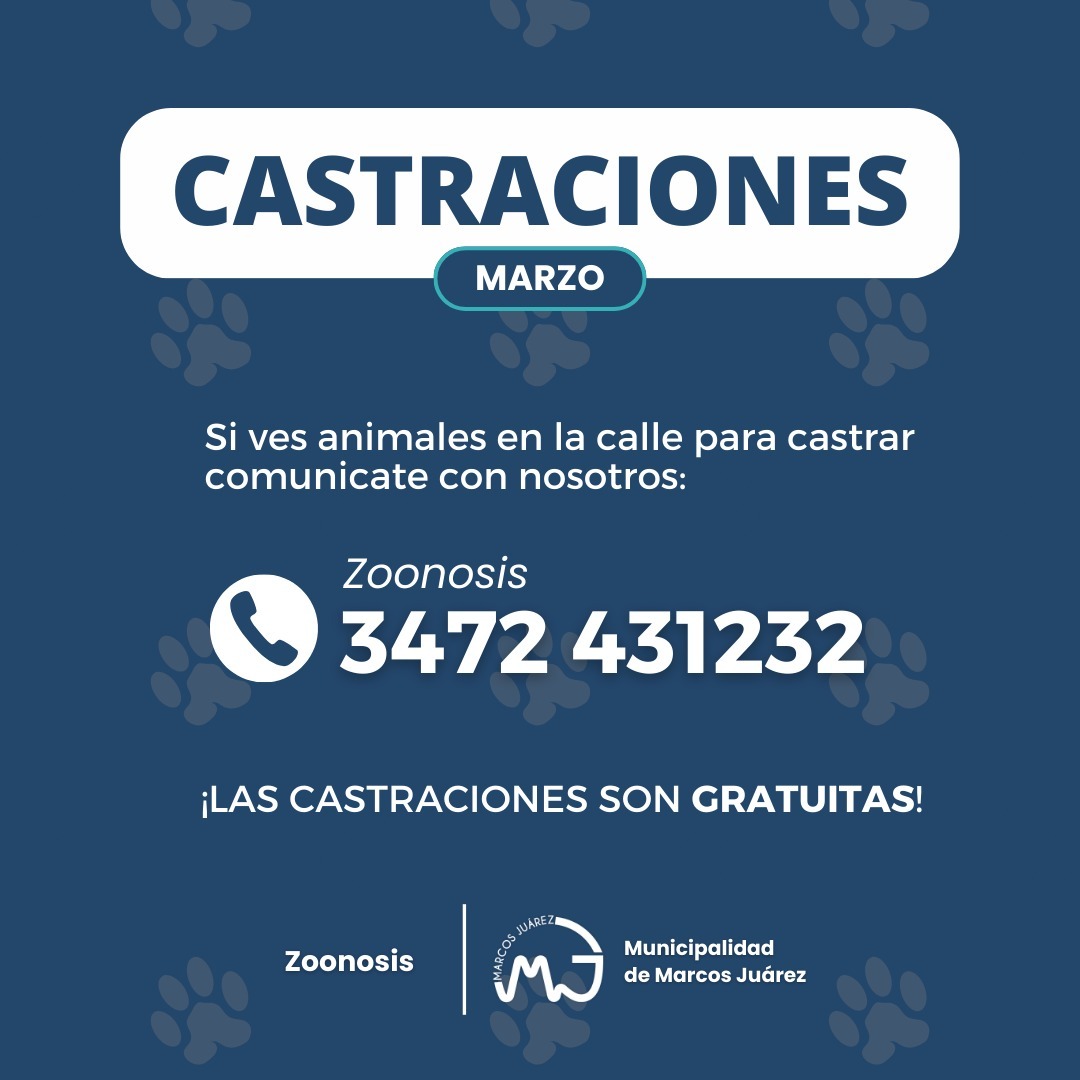 Martes y jueves de 15 a 18 h se realizarán jornadas de castraciones masivas para perros y gatos en Marcos Juárez