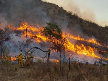 Bomberos de la zona concurren a incendios en Alpa Corral