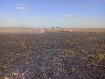 Incendio de 5 hectáreas en Estancia La Lonja
