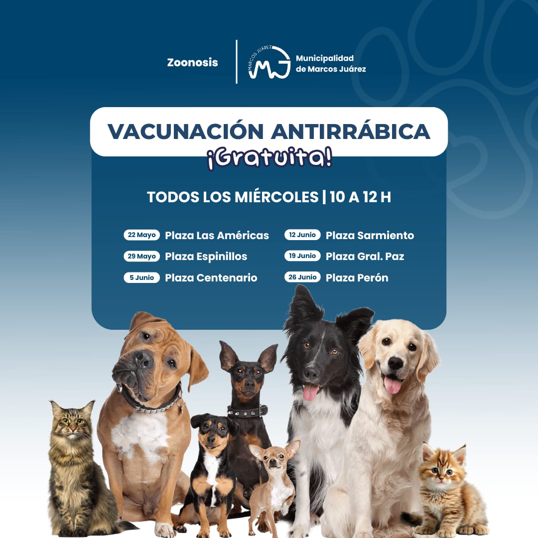 Vacunación antirrábica gratuita todos los miércoles