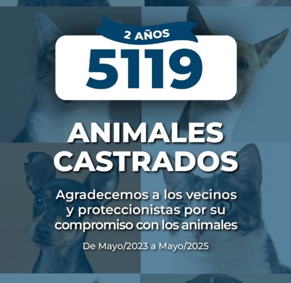 Marcos Juárez: 5119 animales se castraron en los últimos dos años