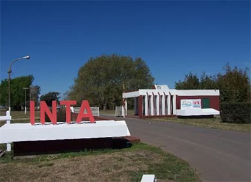 Motosierra en el INTA: el Gobierno dejó bien en claro que la etapa anterior quedó atrás