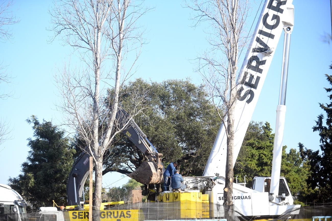 Quebracho reubicado: Villa Allende trasladó su árbol más emblemático bajo protesta y tensión