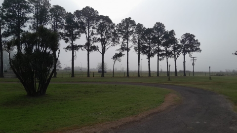 Una densa niebla sobre Marcos Juárez con visibilidad reducida a menos de 800 metros