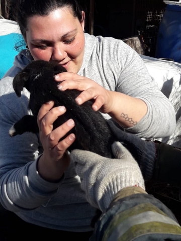 Armstrong: Bomberos rescató un cachorro que cayó a un pozo