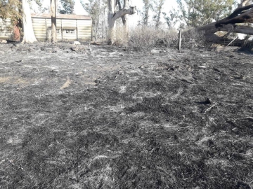 Bomberos Voluntarios de Marcos Juárez y Saira trabajaron por cinco horas en incendio rural