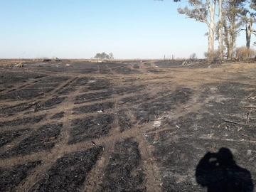 Bomberos Voluntarios de Marcos Juárez y Saira trabajaron por cinco horas en incendio rural