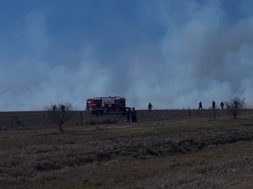 Armstrong: 30 voluntarios trabajaron en un incendio de campo