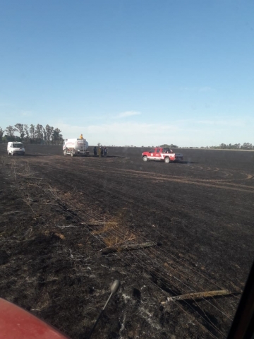 Bomberos de la región con 15 unidades trabajaron en incendio rural