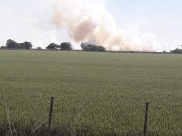 Bomberos de la región con 15 unidades trabajaron en incendio rural