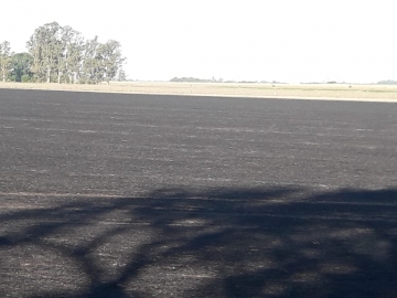 Bomberos de la región con 15 unidades trabajaron en incendio rural