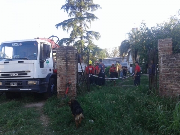 Gral Roca: bomberos rescataron a un caballo que cayó a un pozo