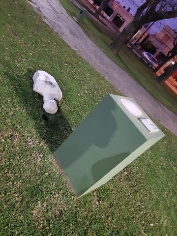 Armstrong: vandalismo en la plaza Flotron