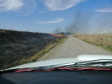 Bomberos de toda la región trabajaron 6 horas en incendio rural al sur de Tortugas