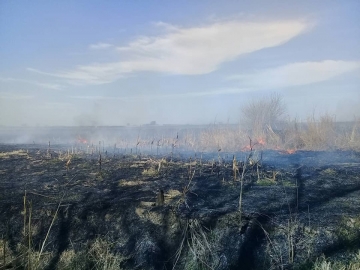 Bomberos de toda la región trabajaron 6 horas en incendio rural al sur de Tortugas