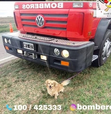 Vuelco en solitario sobre ruta 12