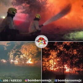 Incendio intencional en predio de parques y paseos 