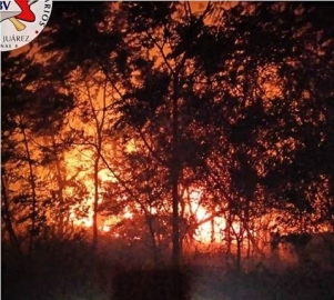 Incendio intencional en predio de parques y paseos 