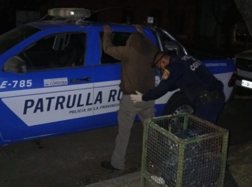 Escucharon disparos y los detuvieron cazando con armas ilegales
