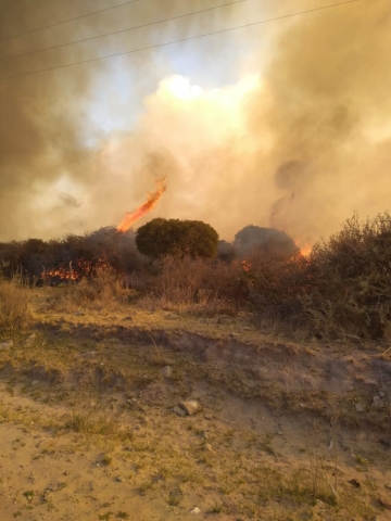 José Cavallera: “Son 100 bomberos trabajando las 24 horas en distintos grupos”
