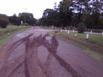 Vandalismo en el parque Loinas