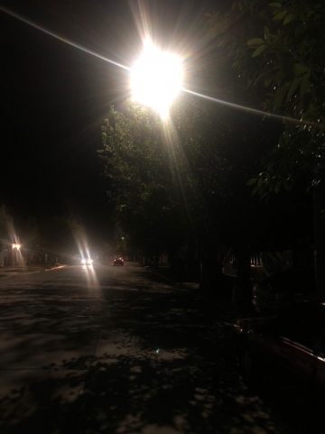 Vecino propone poda correctiva en distintas calles de la ciudad
