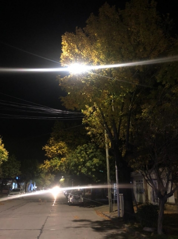 Vecino propone poda correctiva en distintas calles de la ciudad