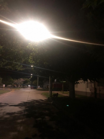 Vecino propone poda correctiva en distintas calles de la ciudad