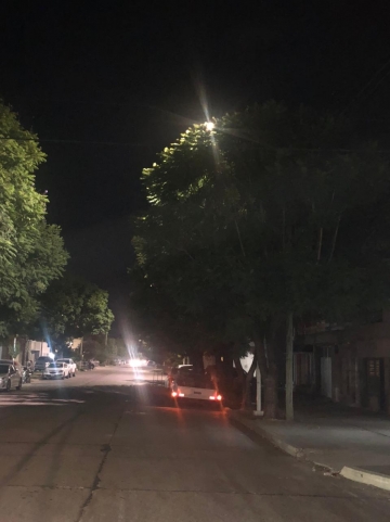 Vecino propone poda correctiva en distintas calles de la ciudad