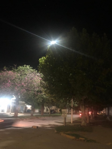 Vecino propone poda correctiva en distintas calles de la ciudad