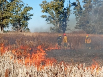 23.000 litros de agua extinguieron un incendio de pastizales y árboles 