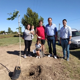 40 árboles se plantaron con el programa 