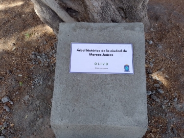Día del árbol: Se plantaron 60 árboles e idearon colocarle placas
