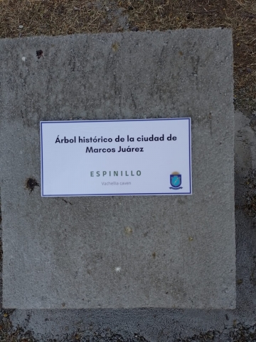 Día del árbol: Se plantaron 60 árboles e idearon colocarle placas