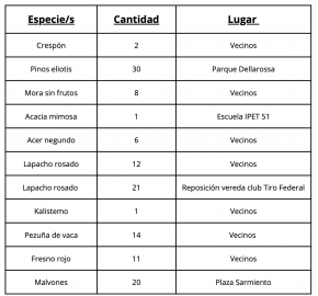 Se plantaron casi 800 árboles en lo que va del año en Marcos Juárez